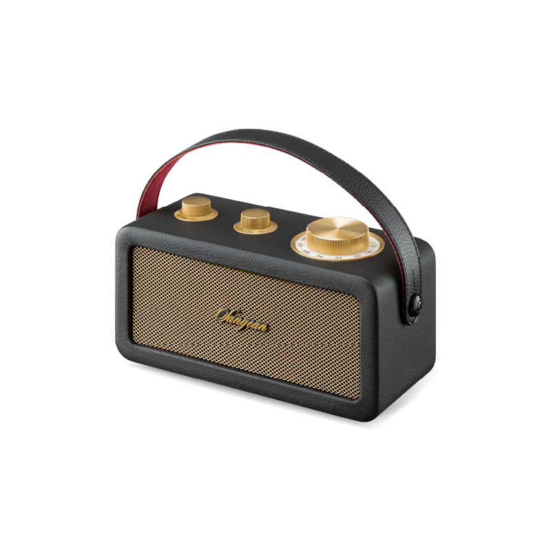 RA-101_Black-Gold_02