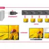 DeLOCK DP 1.2 Splittari 1x4 - Image 4