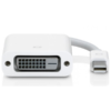 APPLE DisplayPort to DVI Adapter