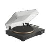 JBL SPINNERBT Svart/Gull - Image 5