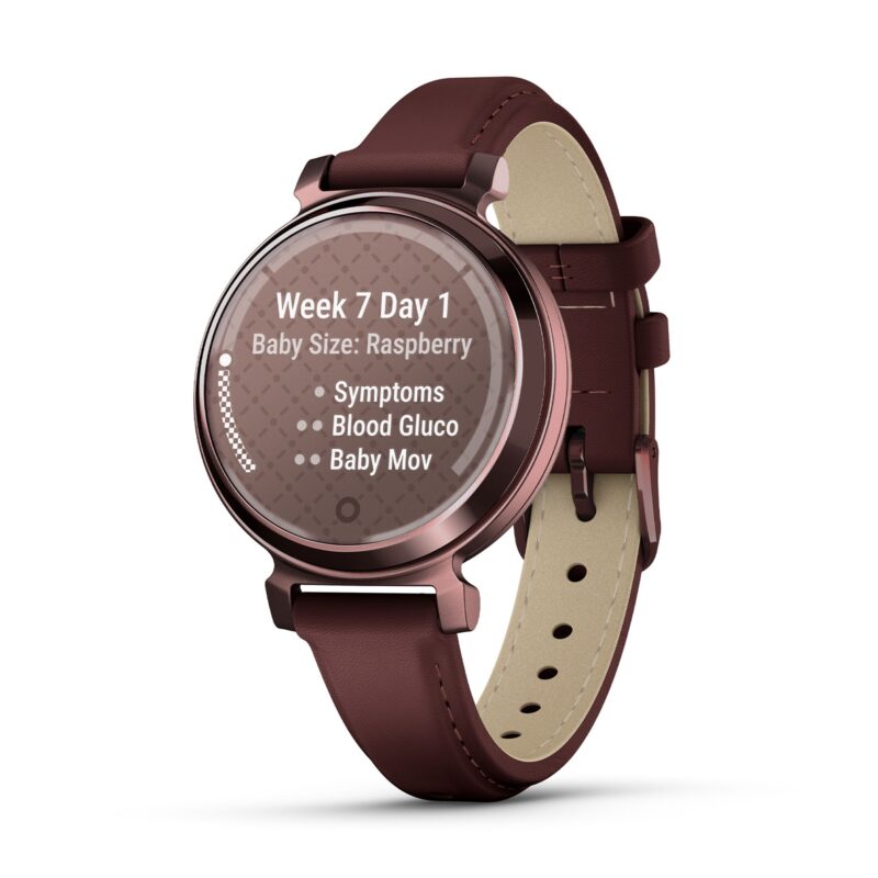 GARMIN Lily 2 Classic Dark Bronze