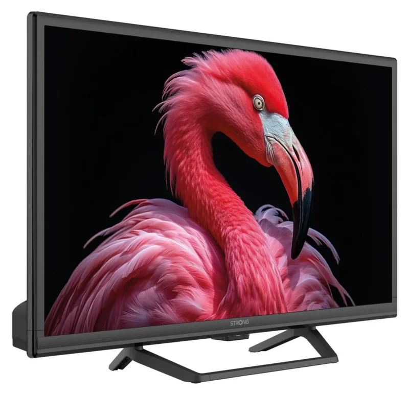 Strong 24" HD Google TV