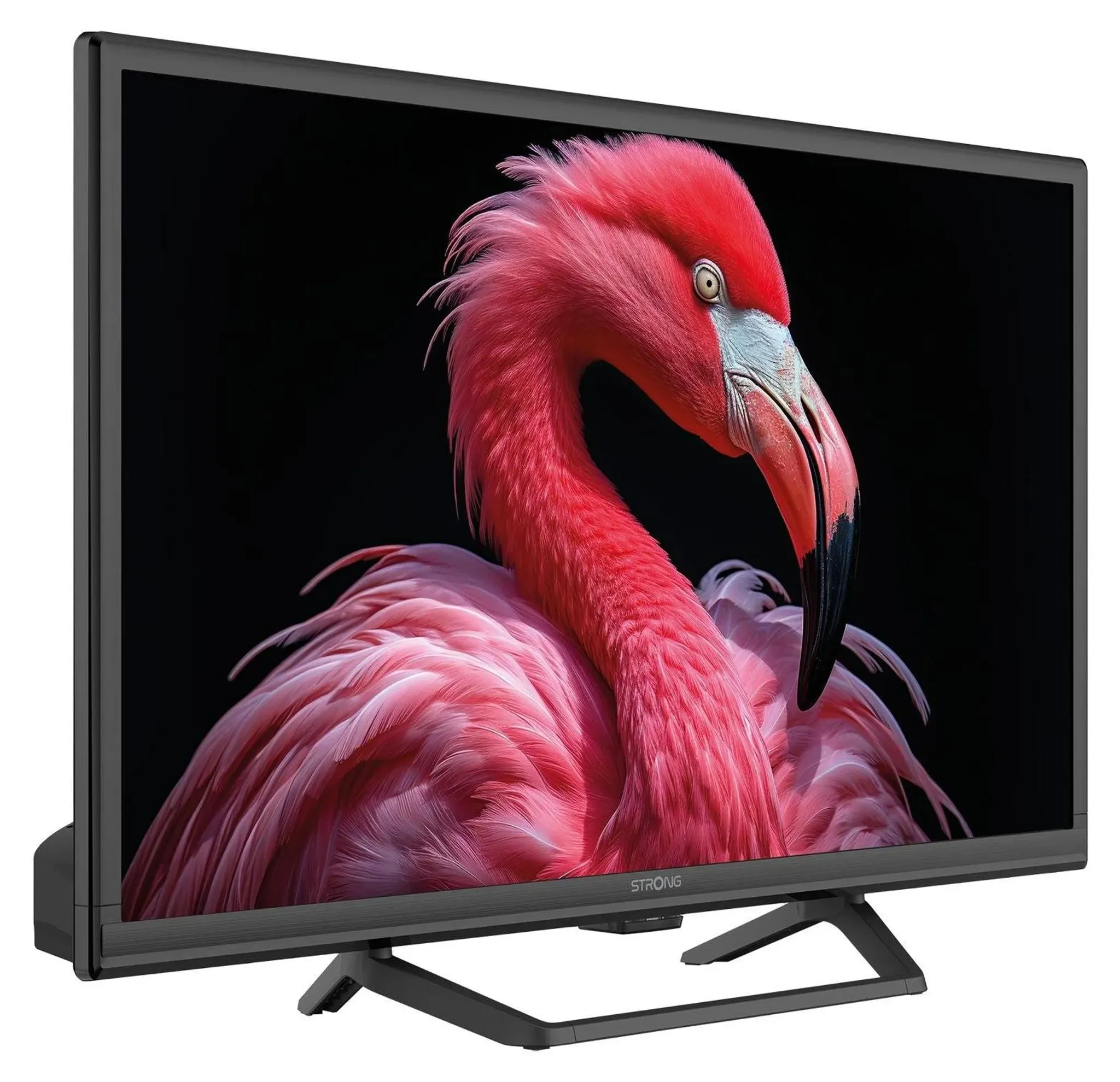 Strong 24" HD Google TV